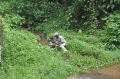 grenada, caribbean, west indie-066